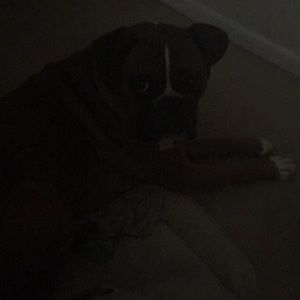 Meet your Posher, Linda